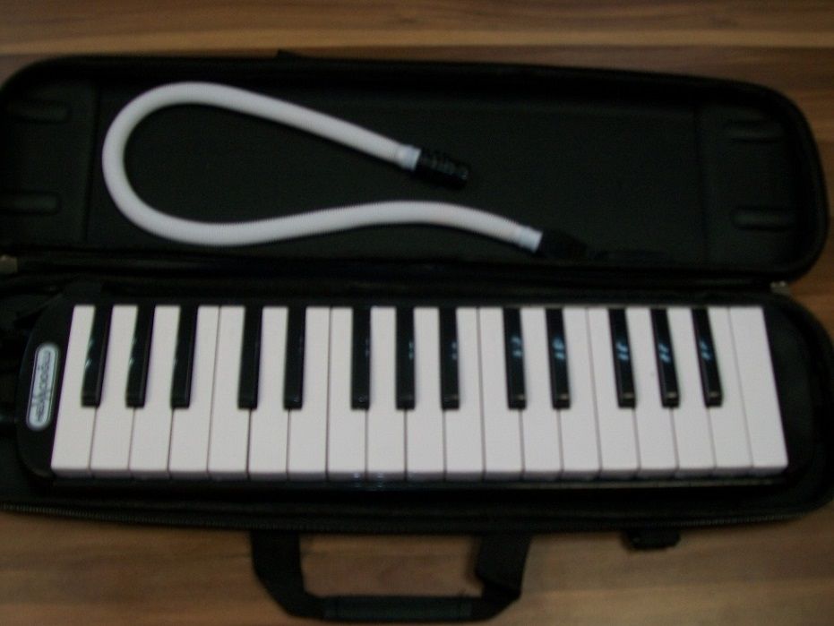 Các loại đàn organ ống có phím; đàn đạp hơi (harmonium) và loại nhạc cụ có phím tương tự có bộ phận lưỡi gà không bằng kim loại